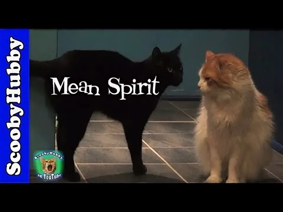 Mean spirited. Mean spirited
