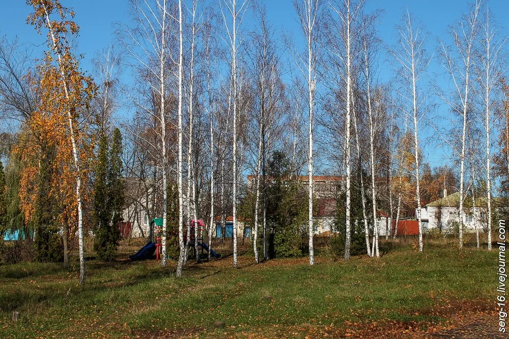 Погода задонск на 10 дней липецкая область. Церковный лес Задонск. Задонск осень. Задонск осенью. Осень в Задонске фото.