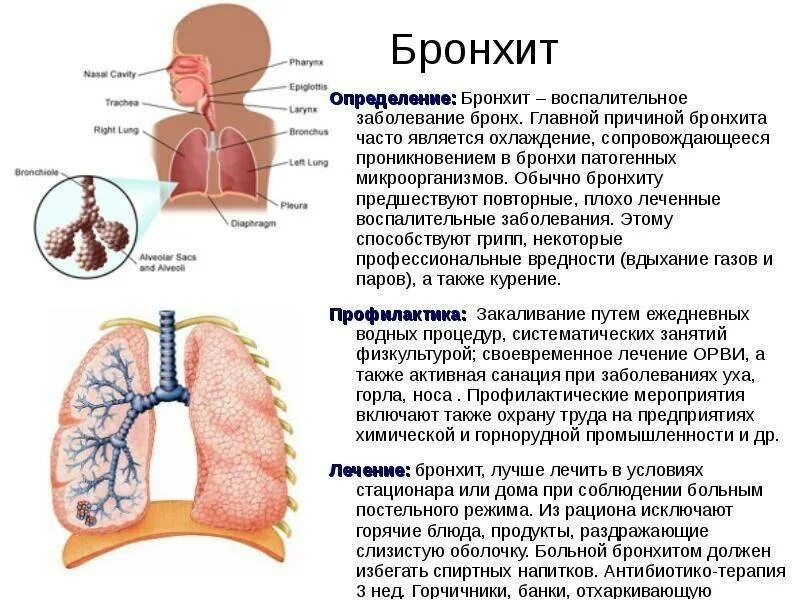 Бронхит сопли. Симптомы поражения бронхов при остром бронхите. Дыхательная система при остром бронхите.