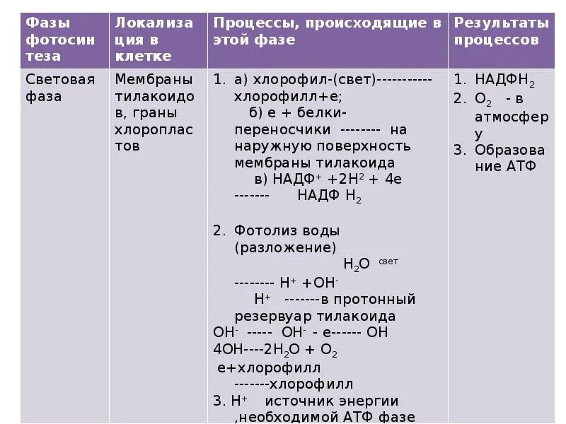 Световая фаза последовательность процессов. Хемосинтез таблица 10 класс. Этапы хемосинтеза таблица. Типы клеточного питания фотосинтез и хемосинтез 10. Фазы фотосинтеза таблица.