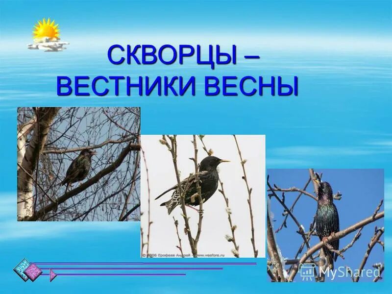 вестники весны