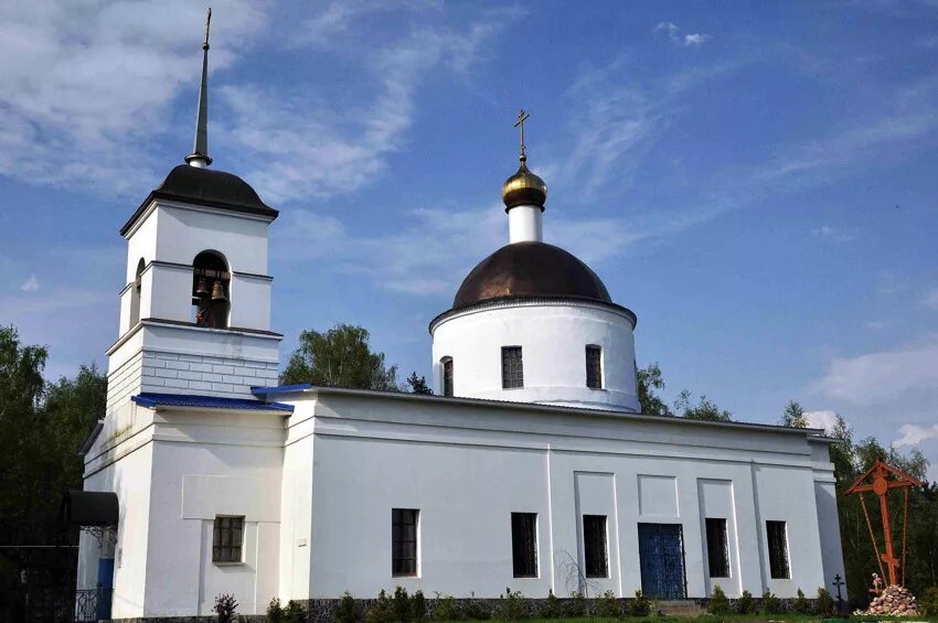 Зюзино московская область. Богородицерождественская Церковь (Богородское). Богородицерождественнский храм Зюзино. Усадьба Зюзино Раменский район. Богородская Церковь Балашиха.