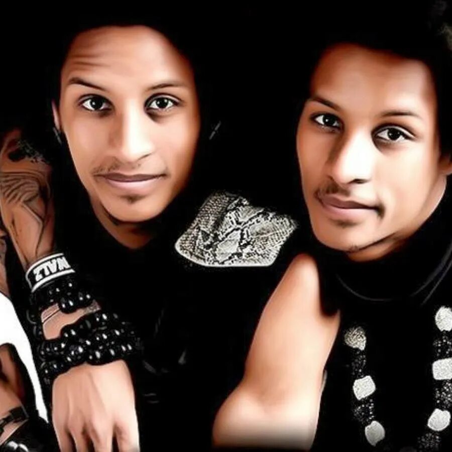 Братья близнецы песни. Группа les Twins. Les Twins братья. Les Twins танцоры. Братья Твинс танцоры.