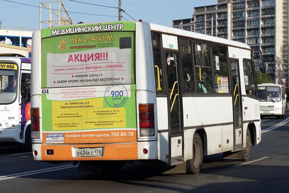 Золотой автобус спб. Автобус 434 Планерная. ПАЗ 320402 СПБ. 434 Маршрут Омск. Маршрутка 434 Санкт Петербург.