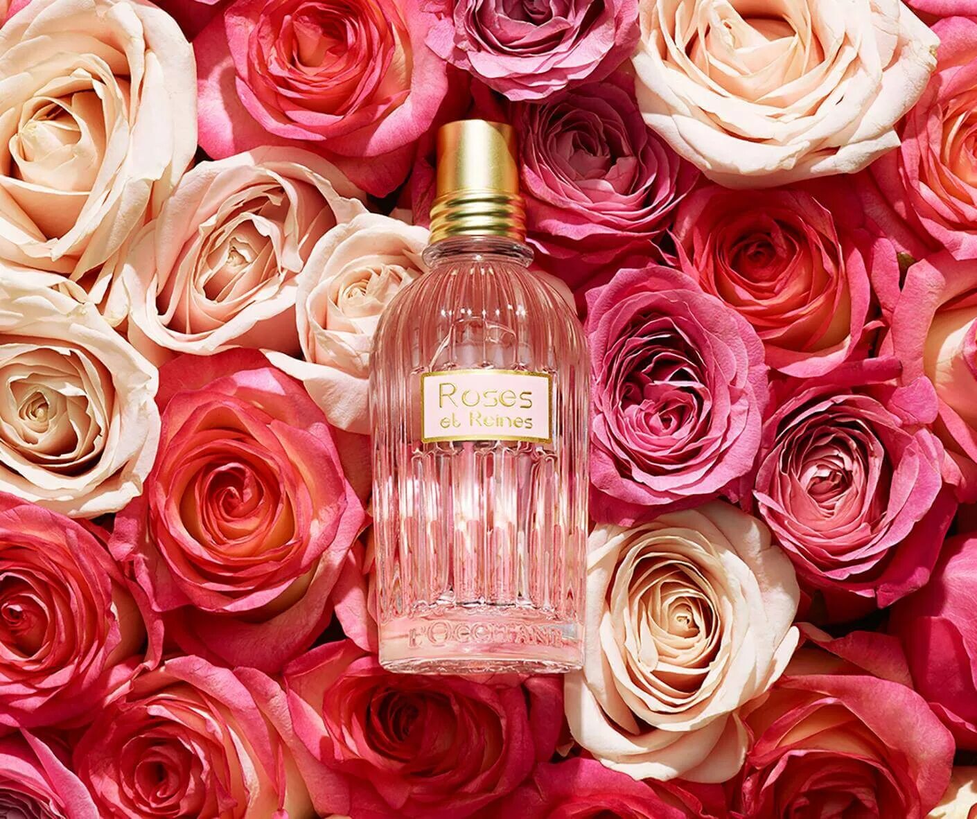 Нежным ароматом роз. L'Occitane Rose Eau de Toilette. Цветочные духи розовые. Аромат розы в парфюмерии.