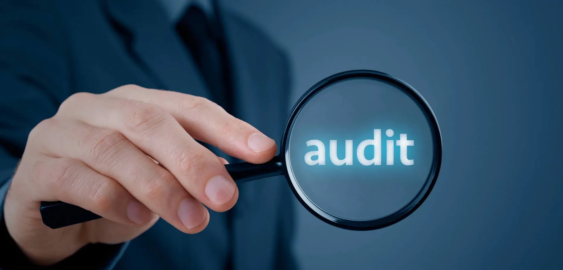 Audit organization. Audit organization
