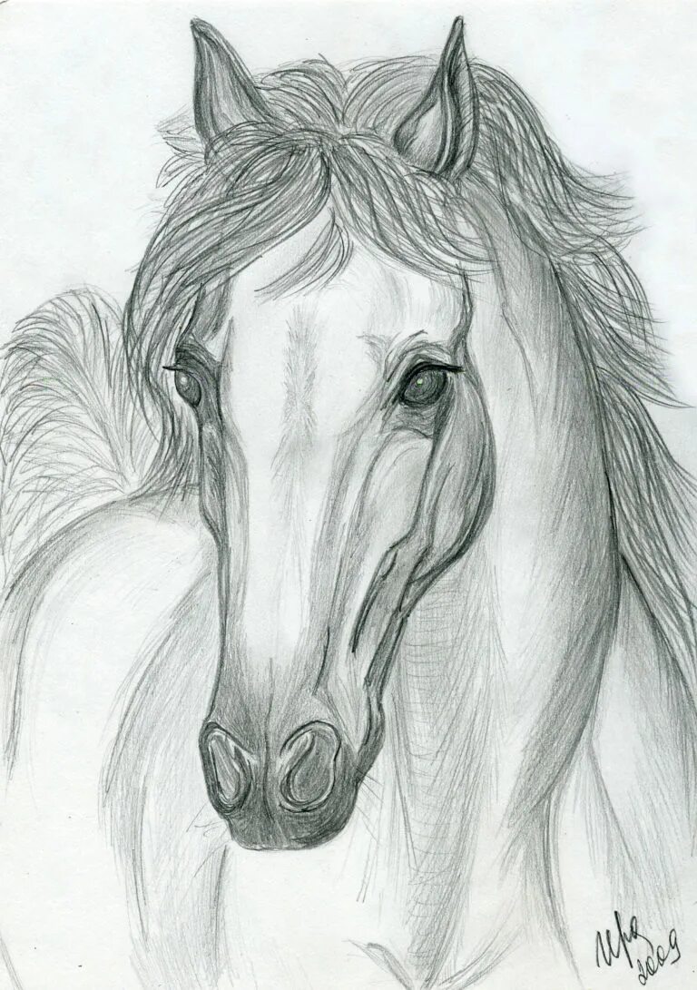 Рисунок это. Лошадь карандашом. Красивые рисунки лошадей карандашом. Картинки лошадей карандашом. Красивые картины карандашом легкие.