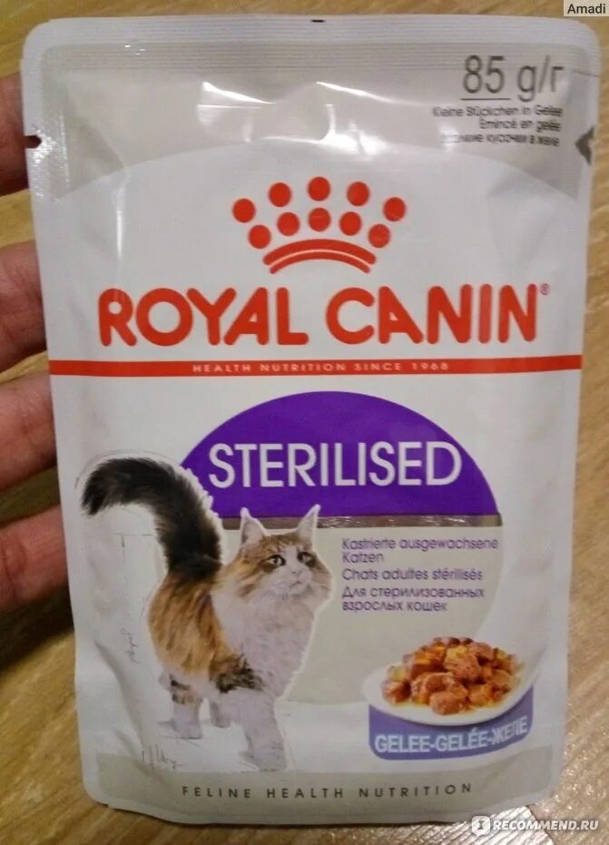 Royal canin sterilised влажный. Royal canin sterilised паштет. Royal canin sterilised 37. Роял канин пауч стерилизед желе. Royal canin влажный корм для кошек.