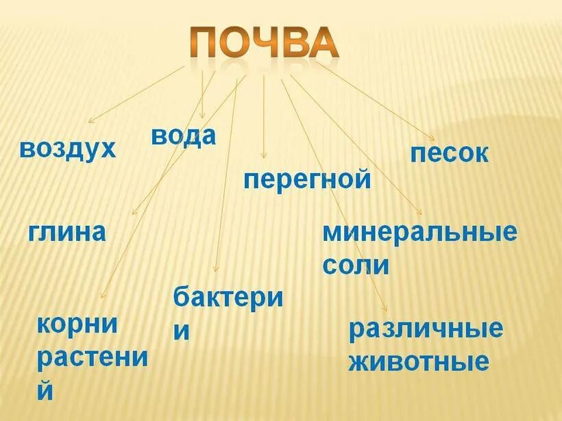 Образования минеральных солей в почве. Образование минеральных солей в почве. закончи модель образования минеральных солей в почве. песок глина перегной минеральные соли. песок + глина + вода + воздух + перегной + соли + микробы.