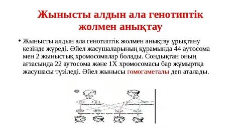 Гей порносын айт