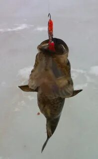 Мормышка на ротана
