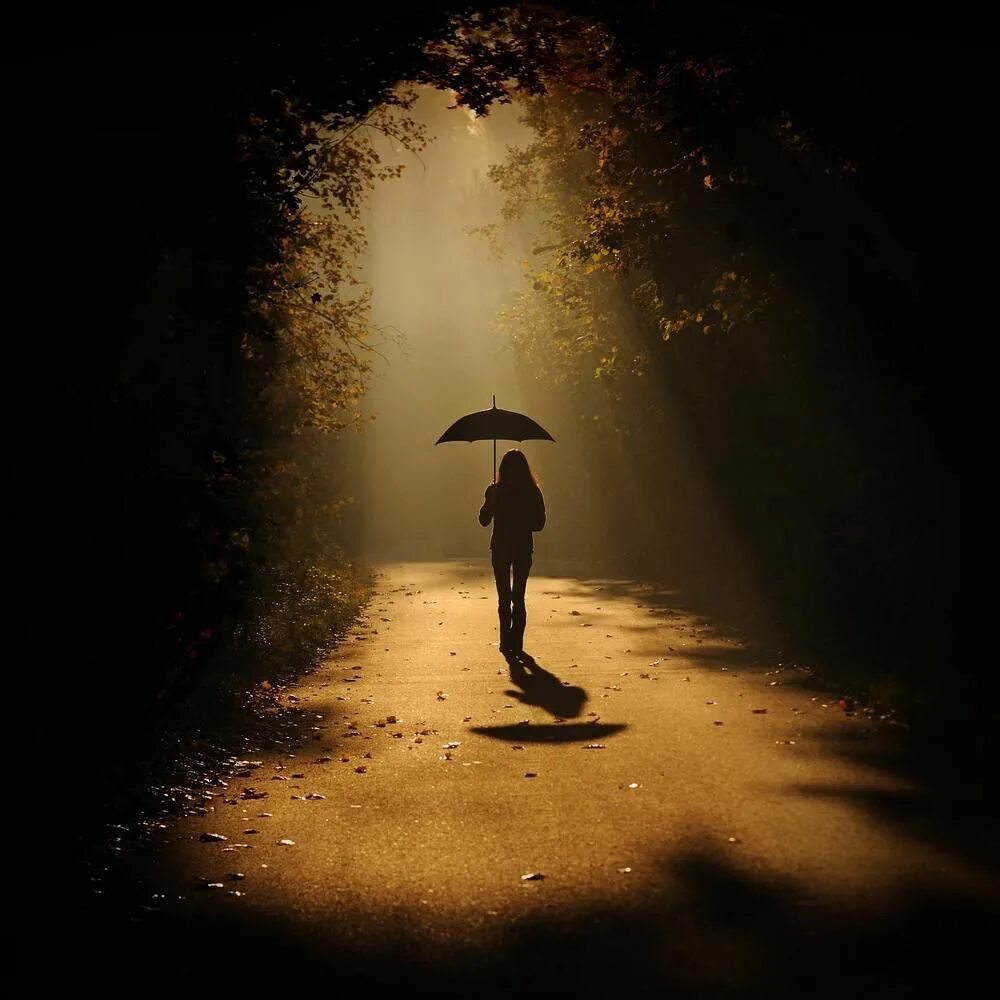Уходящая девушка. Одинокий человек с зонтом. Девушка уходящая в осень. Уходящий силуэт. Аватарка ушла