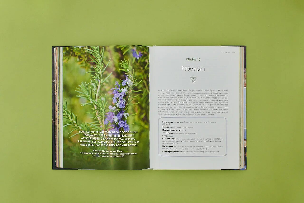 Зеленая магия. Травы для зельеварения. Rosalee de la foret alchemy of herbs. Алхимия трав. Алхимия трав розали де ла форе.