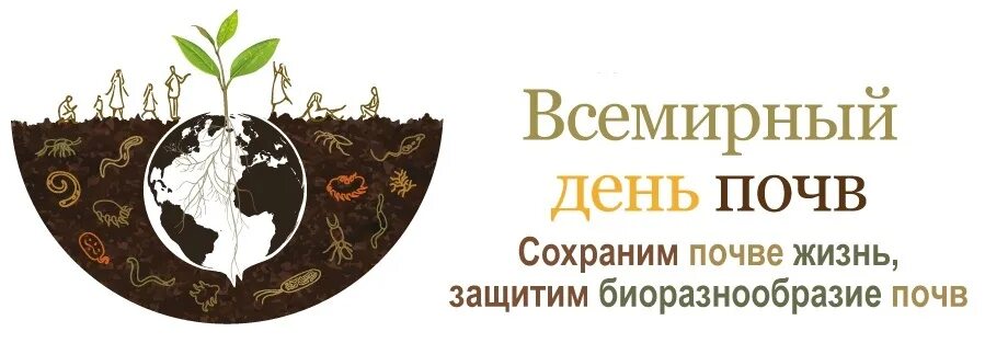 Всемирный день почв (World Soil Day). 5 Декабря день Всемирный день почвы. 5 Декабря день почв. Сообщение о Всемирном дне почв 5 декабря.