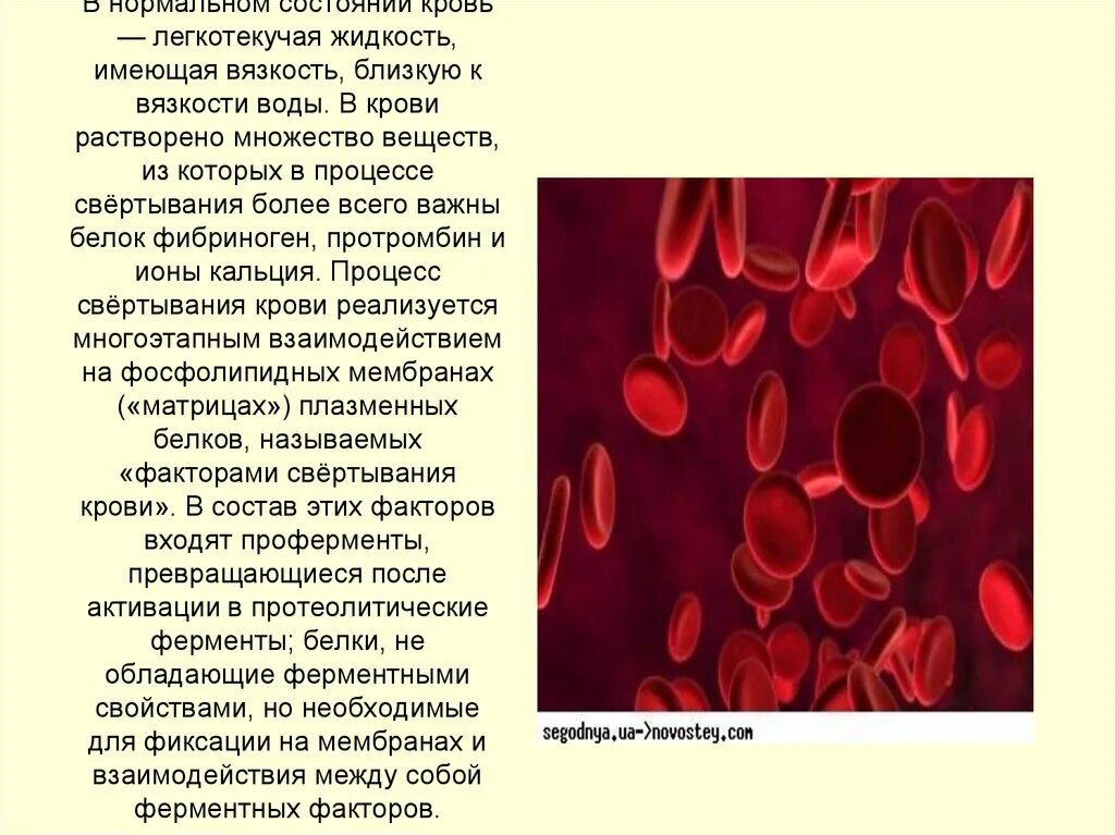 Гемофилия группа крови. Наследственные заболевания крови. Кровь растворяется в воде. Вещества растворенные в крови. Кровь не растворяется в воде почему.