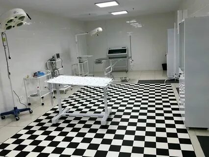 Ноев ковчег новосибирск