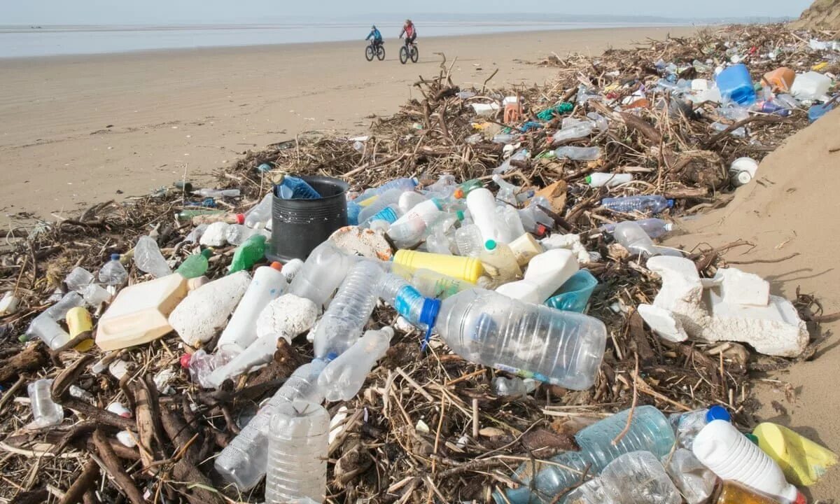 Загрязнение мусором окружающей. Пластиковые бутылки в природе. Загрязнение мусором окружающей среды. Пластиковые отходы. Пластик в окружающей среде.