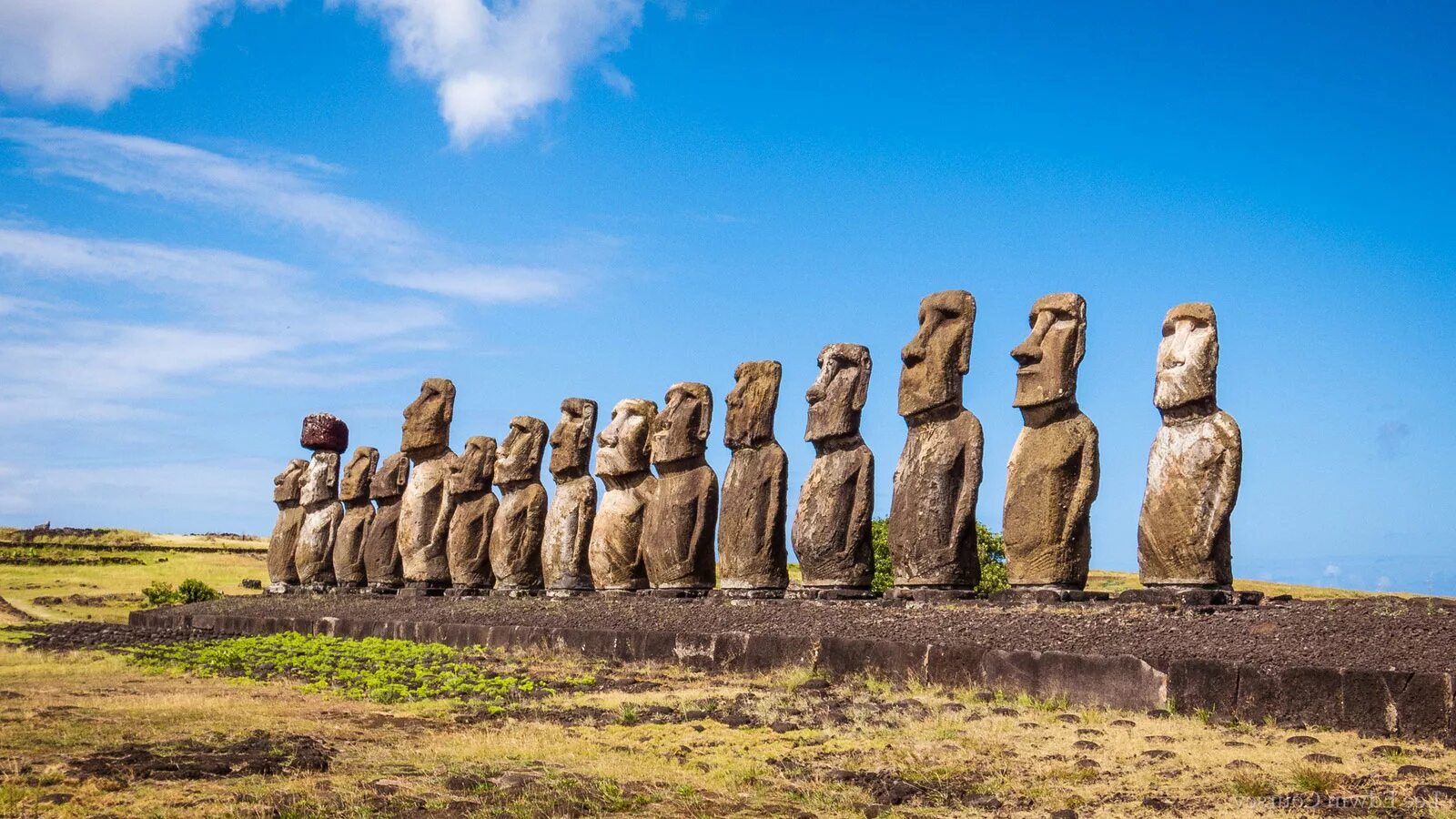 Статуи на острове. Каменные статуи Моаи остров Пасхи Чили. Чили остров Пасхи, Чили Моаи. Остров Пасхи статуи Моаи. Моаи на острове Пасхи.