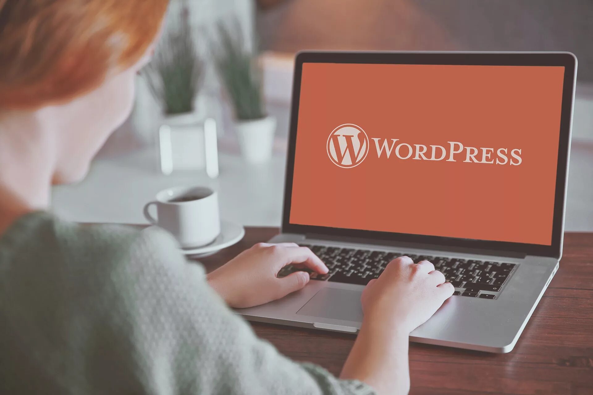 WORDPRESS. WORDPRESS картинки. WORDPRESS Разработчик. Создание блога на WORDPRESS.