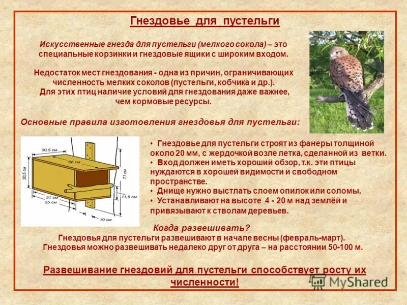 паронимы гнездовье