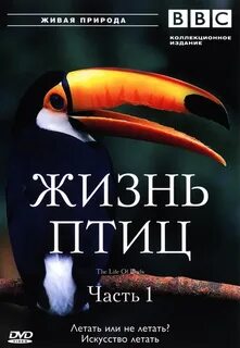 Жизнь пернатых начала замирать