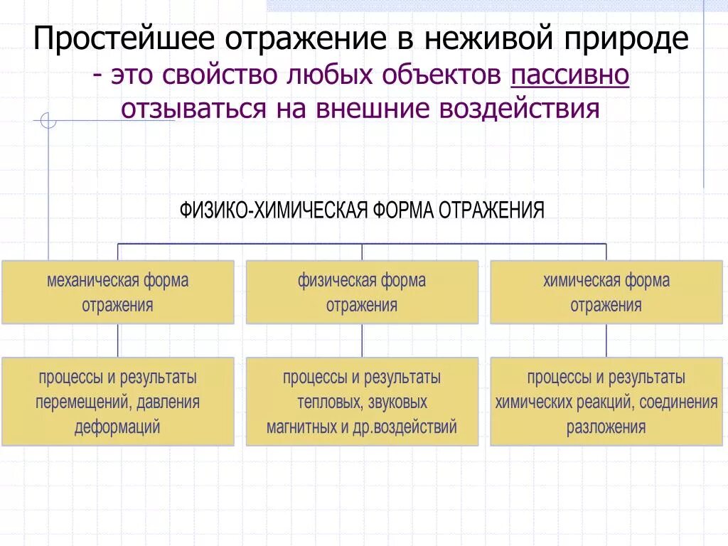 Отражение в неживой природе форма отражения. Уровни отражения в живой и неживой природе. Отражение в живой природе примеры. Формы и уровни отражения в живой и неживой природе.