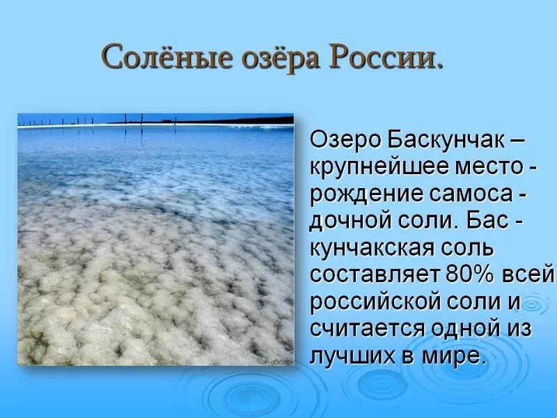 Соль добывают в озерах. Самое солёное озеро в России. Соленость озера Баскунчак. Соленые озера названия. Самое соленое озеро.