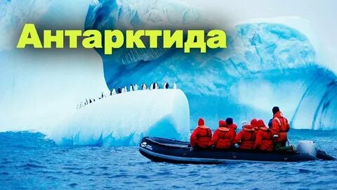 День открытия антарктиды