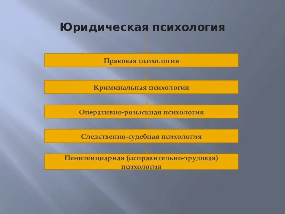 Разделы в структуре юридической психологии. Отрасли юридической психологии. Виды правовой психологии. К юридической психологии относится отрасли.