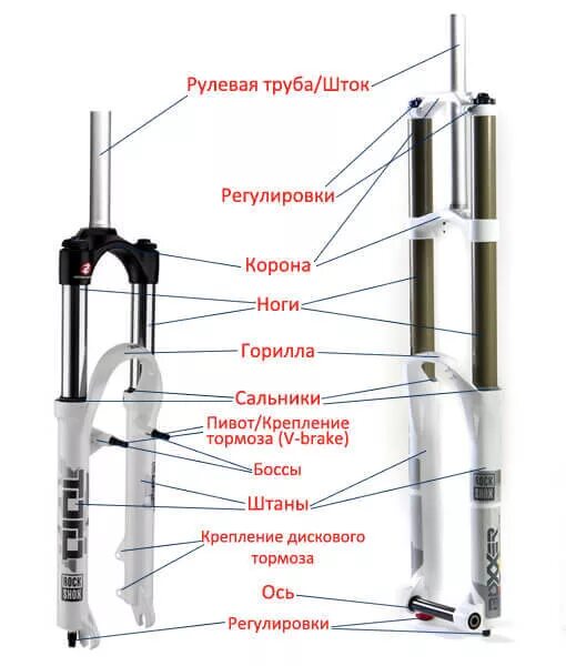 Вилка пружинно-эластомерная схема. C5.6.Basic амортизационная велосипедная вилка. Конструкция пружинно масляной вилки велосипеда. Велосипедная вилка пружинная схема.