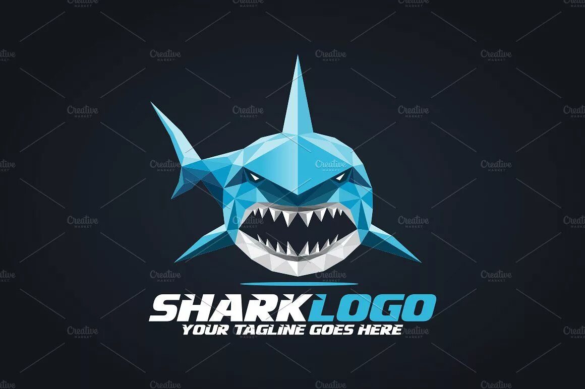 Раскрутка сайта team shark. Акула эмблема. Shark логотип. Shark надпись. Герб с акулой.