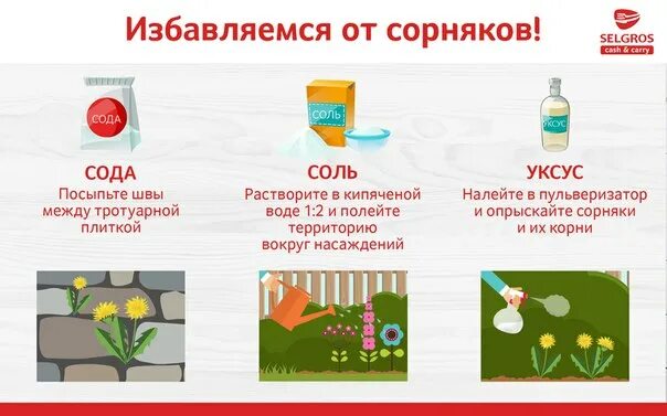 Соль от сорняков