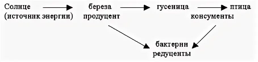 Цепи питания березовой Рощи. Пищевая цепь березовой Рощи. Цепь питания береза. Пищевые связи в природных сообществах. Цепь питания березы