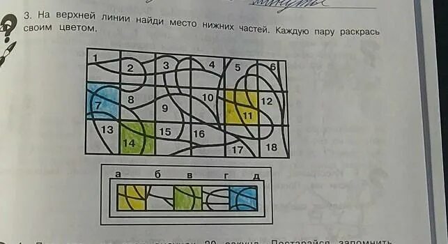 Столько места найти. На верхней линии Найди место. Место правых ее частей каждую пару раскрась своим цветом. На левой извилистой пересекающейся во многих местах. Раскрась в свой цвет.