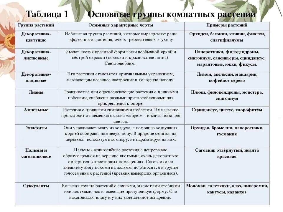 Классификация комнатных растений таблица. Основные группы комнатных растений. Основные группы растений таблица. Характеристика основных групп растений. Перец группа растений