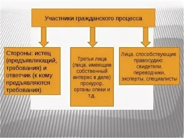Какое процессуальное положение занимает лицо