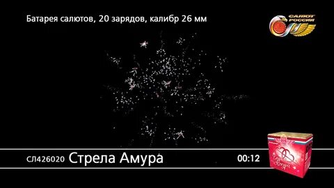 Mik32 амур