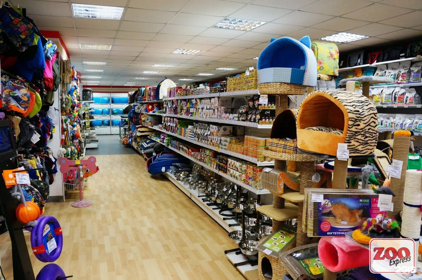 магазин кормов для животных спб. кот в зоомагазине. магазин кормов для животных спб. магазин кормов для животных спб. ассортимент магазина зоотоваров.