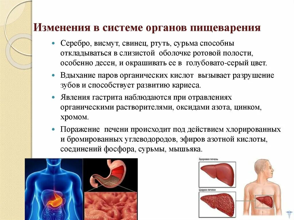Изменения в пищеварительной системе. Изменения в полости рта при отравлении свинцом. поражение органов и систем. яды влияющие на пищеварение. проявления действия яда..