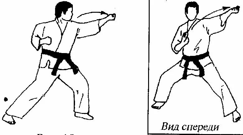 Нерио чаги. Вьетводао что за спорт. Шуто маваши укэ. Вьетводао вовинам. Пояс кудо 10 кю.