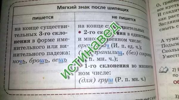 У имен существительных 1 склонения в форме. Родительного падежа имени существительного 1-го склонения. 1 Склонение существительных множественного числа после шипящих. У имен существительных 1 склонения в форме родительного падежа. Мягкий знак в родительном падеже множественного числа.