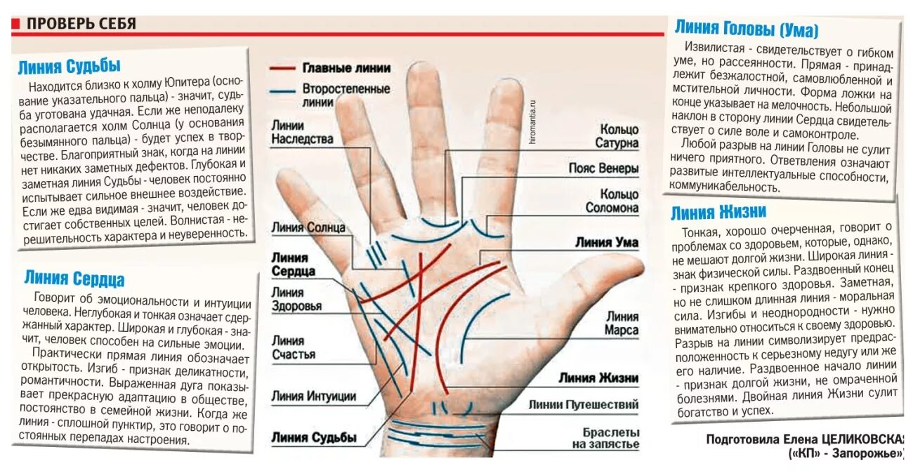 Где ладонь. Хиромантия с разъяснениями по руке для начинающих линия. Расшифровка линий на ладони правой руки. Линии сбоку ладони значение на правой руке. Хиромантия обозначение линий на ладони жизни.