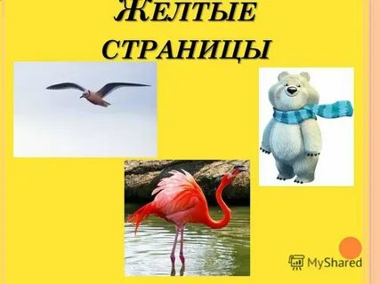 Книга желтая страница