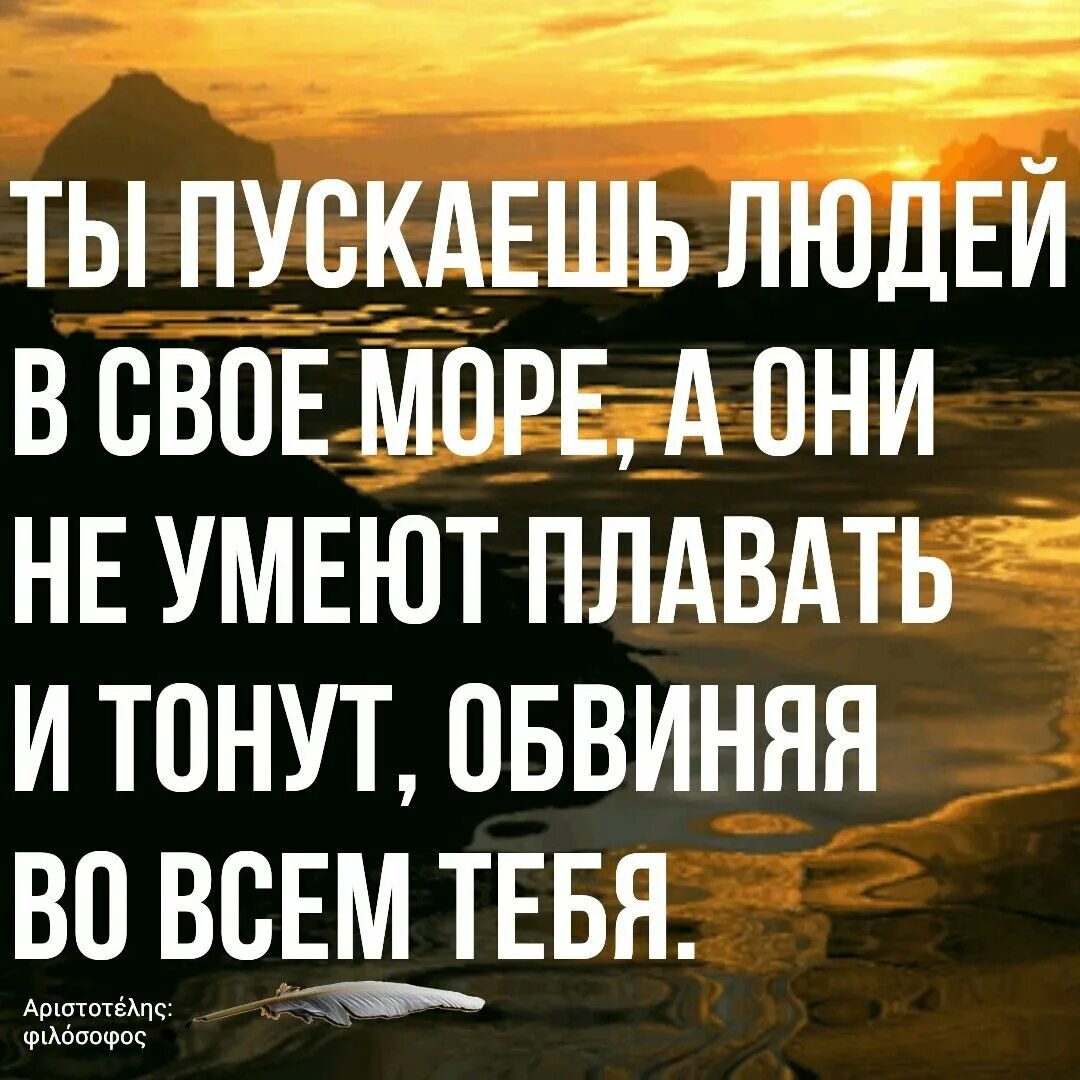 Статусы в картинках со смыслом. Жизненные цитаты со смыслом. Статусы со смыслом. Статусы для ватсапа жизненные. Картинки для статуса со смыслом в whatsapp