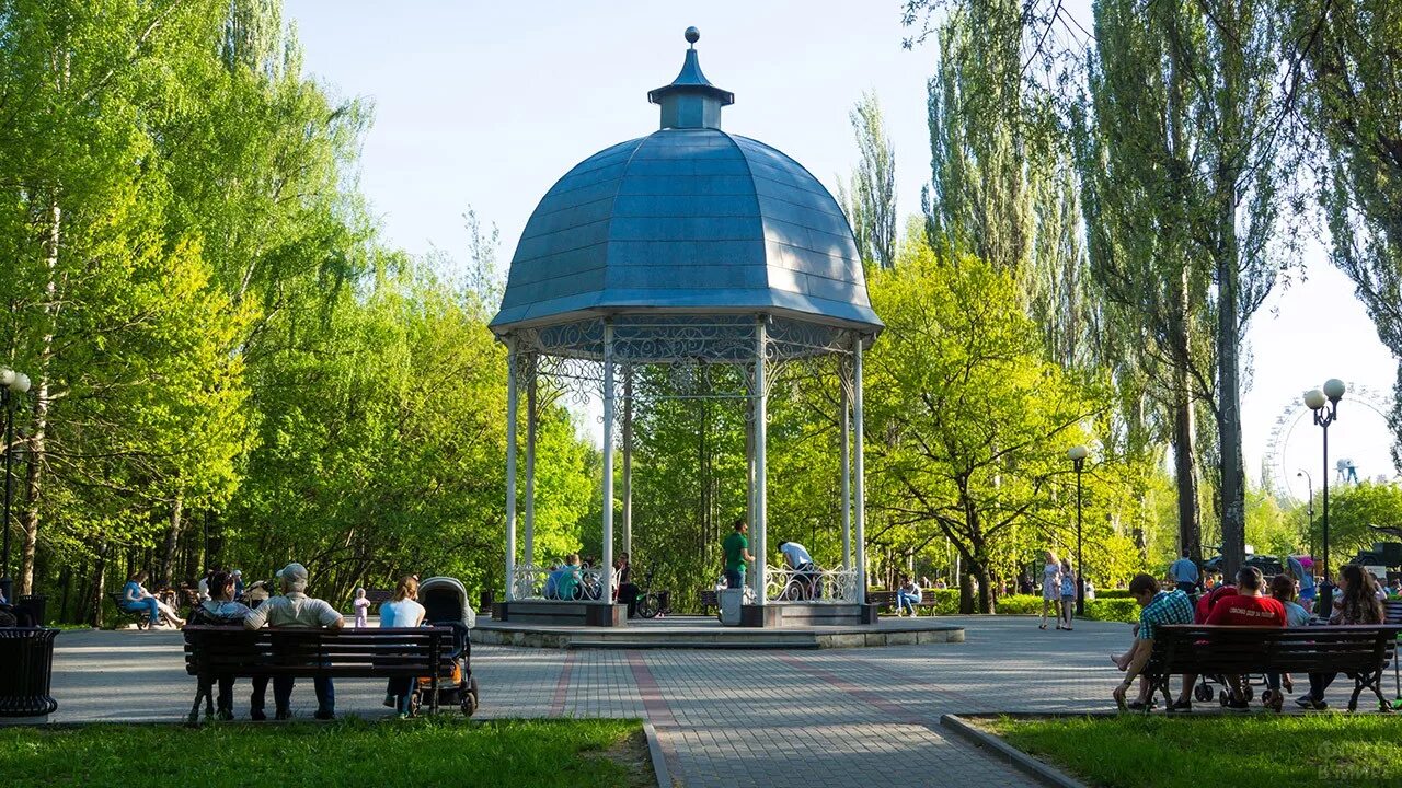 Измайловский парк московский просп 2 фото. Парк культуры Измайлово. Измайловский парк Москва. Парки Москвы Измайловский парк. Измайловский лесопарк Москва.