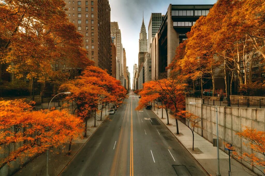 During the fall. Осень в Нью-Йорке» (autumn in New York), 2000. Осень Нью Йорк Манхэттен. Осенний пейзаж в Нью Йорке. Нью Йорк осенью.