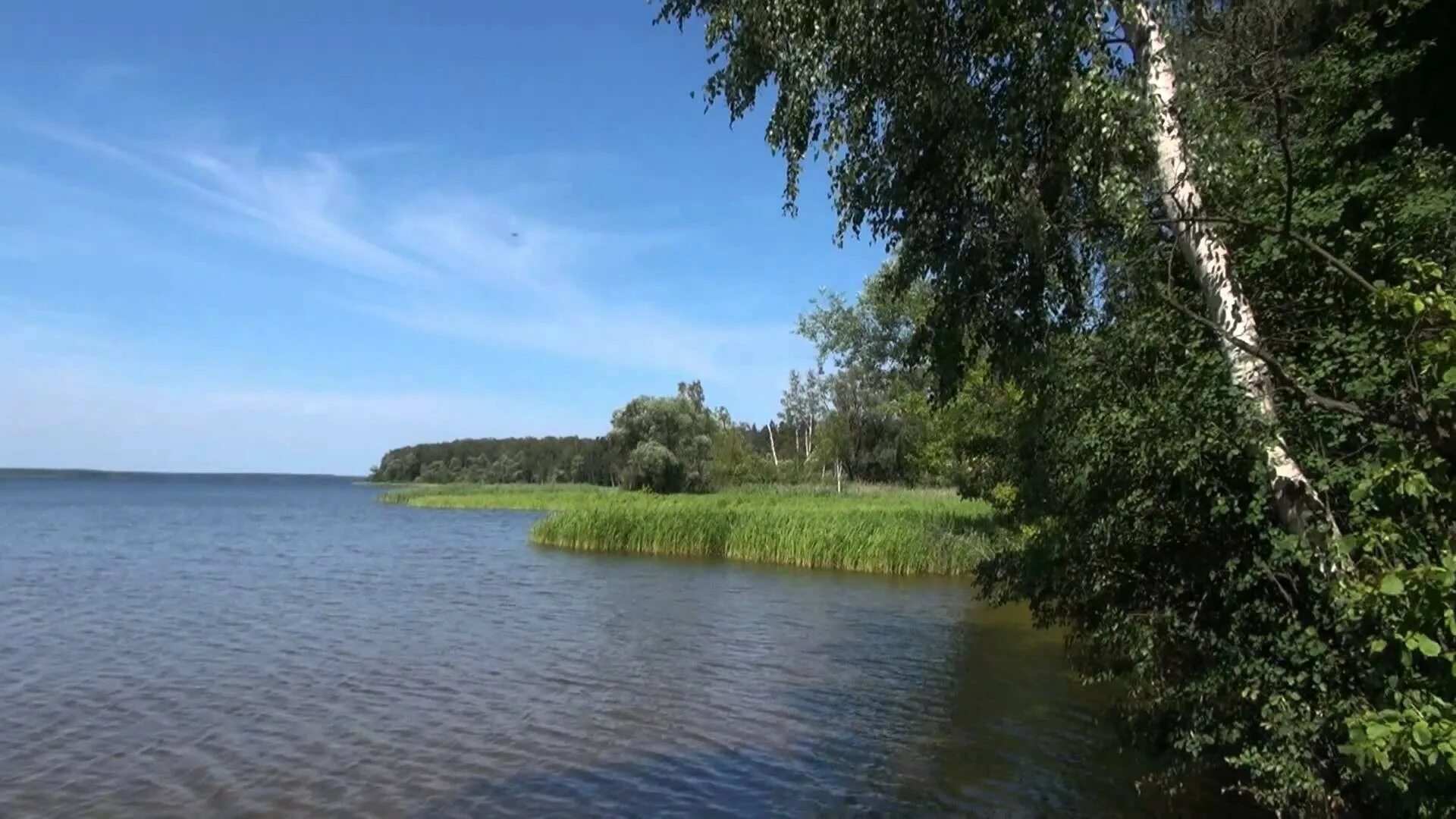 Учинское водохранилище Московская область. Озеро глубокое Рузский район. Учинское водохранилище Пушкино. Учинское водохранилище рыбалка. Озеро московское рыбалка