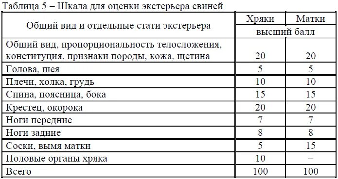 Пороки экстерьера свиней. Типы конституции свиней. Обследование свиньи ветеринария. Оценка экстерьера свиньи таблица. Оценка свиньи.
