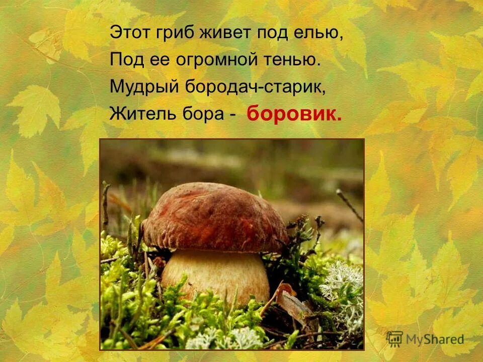 Стихи про осень и грибы. Стихи про осенние грибы. Стихи про грибы. Детские стихи про лес короткие и красивые. Стих в осеннем лесу.