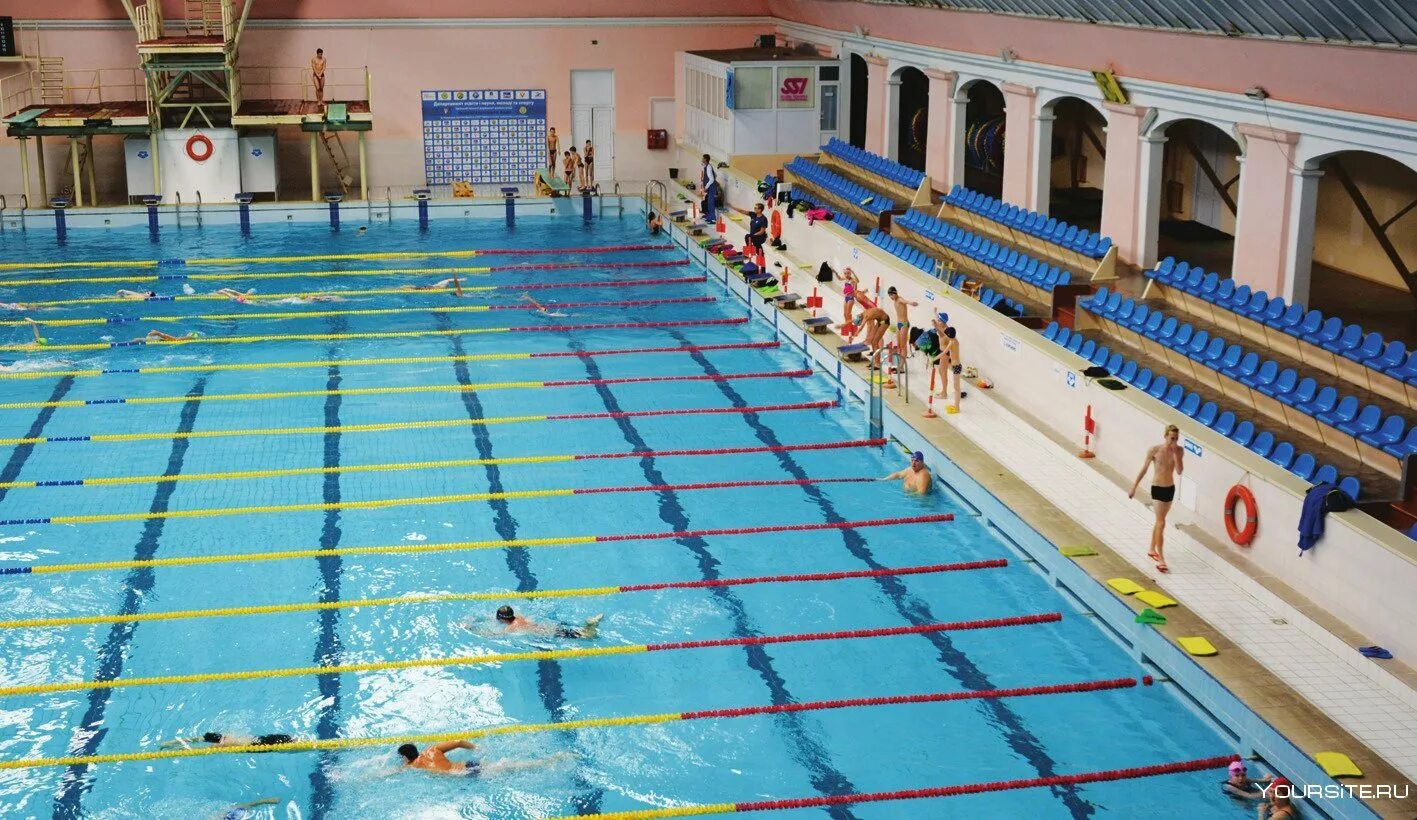 Бассейн 25х11 бессоновка. Олимпийский бассейн 25 метров. Бассейн форум. Бассейн вмф на новоизмайловском. Бассейн форум.